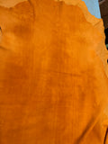 Elk (Squash Blossom)