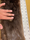 Premium Select Otter pelts