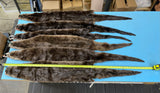 Premium Select Otter pelts