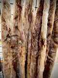 Premium Select Otter pelts
